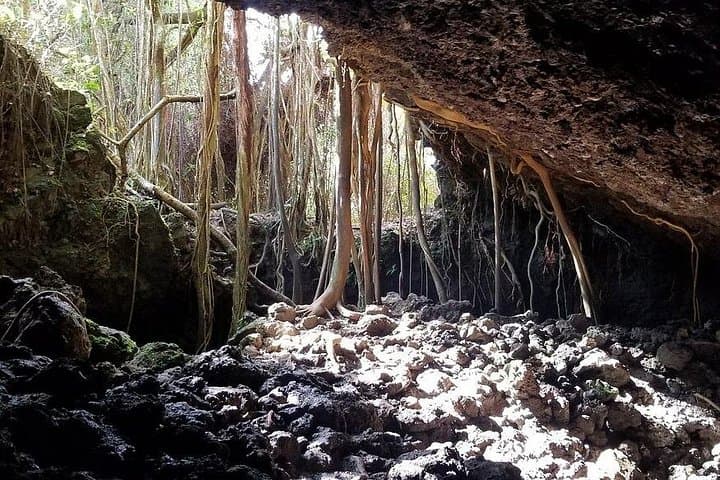 Half-Day Private Road to Hana Tour — Waterfalls, Black Sand & Bamboo Grove photo 4