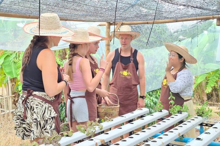 Chiang Mai Scenic Train & Organic Farm Thai Cooking Class photo 6