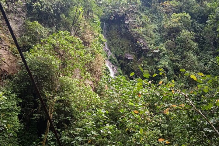 Natural History of Monteverde Cloud Forest: Guided 3‑Hour Walk photo 3