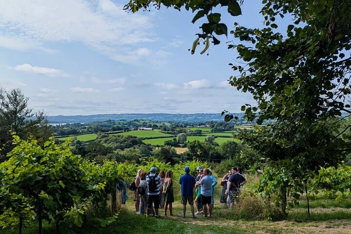 Somerset Valleys Wine and Cheese Tour with Michelin-Star Lunch photo 4