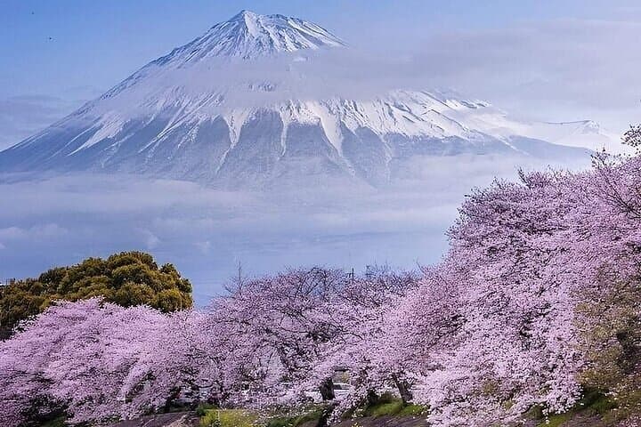 Day Trip to Mt Fuji & Hakone: Private Full-Day Tour from Tokyo
