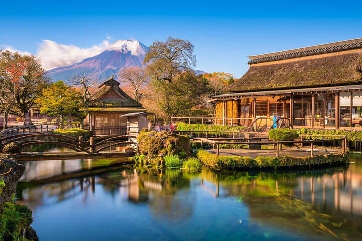Day Trip to Mt Fuji & Hakone: Private Full-Day Tour from Tokyo photo 2