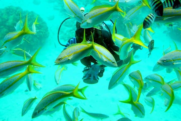 Hurghada Semi-Submarine & Snorkel: 2-Hour Red Sea Marine Adventure photo 3
