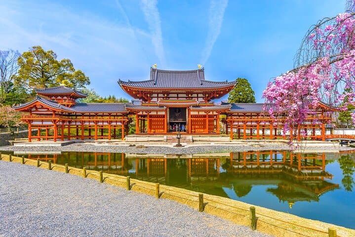 Nara Deer Park, Uji Matcha & Hot Spring Day Tour from Osaka — Feed Deer, Taste Matcha, Soak in an Onsen