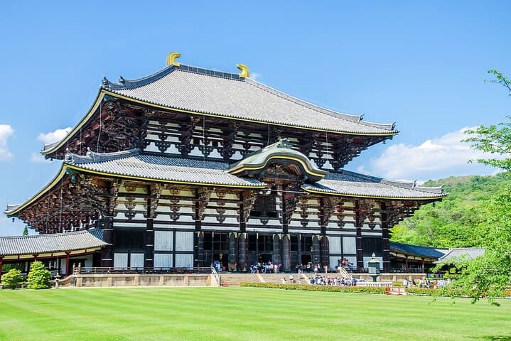 Nara Deer Park, Uji Matcha & Hot Spring Day Tour from Osaka — Feed Deer, Taste Matcha, Soak in an Onsen photo 6