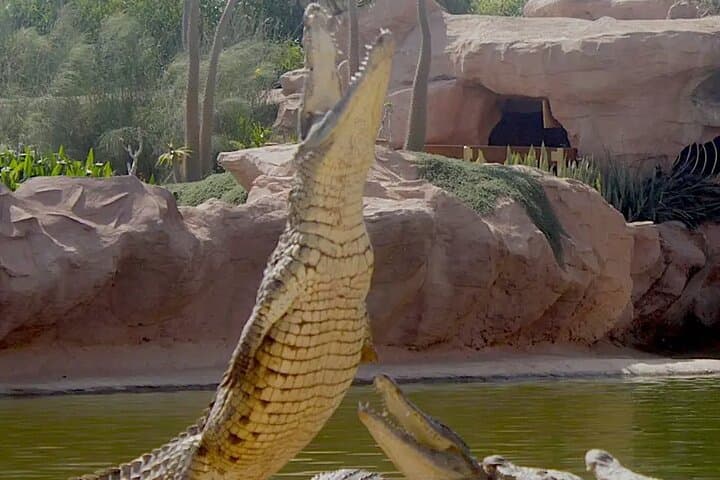 Skip-the-Line Crocoparc Agadir: Gardens, Crocodiles & Family Fun photo 4