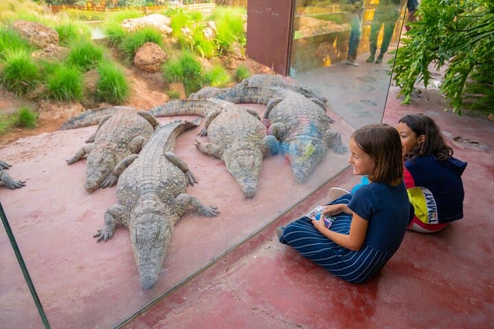 Skip-the-Line Crocoparc Agadir: Gardens, Crocodiles & Family Fun photo 2