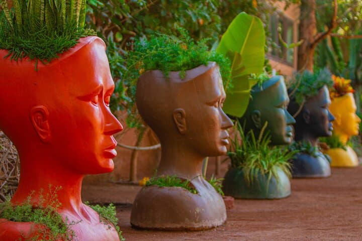 Skip-the-Line Crocoparc Agadir: Gardens, Crocodiles & Family Fun photo 5