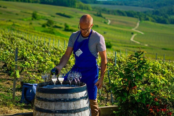 Private Champagne Estate Tour and Vineyard Tasting in Trélou-sur-Marne