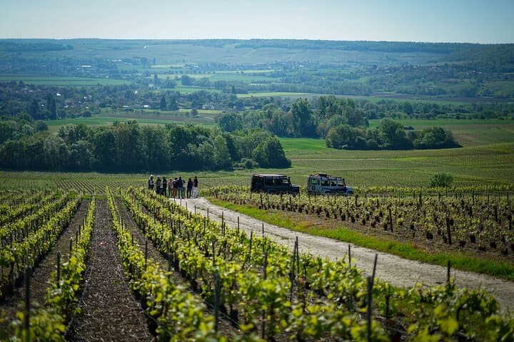 Private Champagne Estate Tour and Vineyard Tasting in Trélou-sur-Marne photo 2