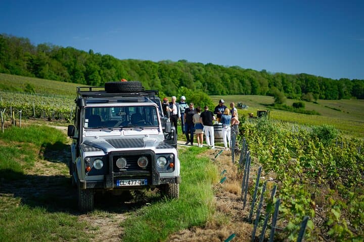 Private Champagne Estate Tour and Vineyard Tasting in Trélou-sur-Marne photo 3