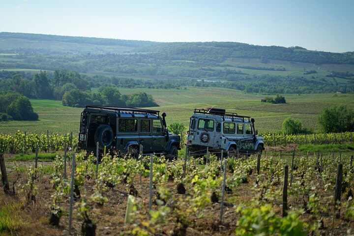Private Champagne Estate Tour and Vineyard Tasting in Trélou-sur-Marne photo 4