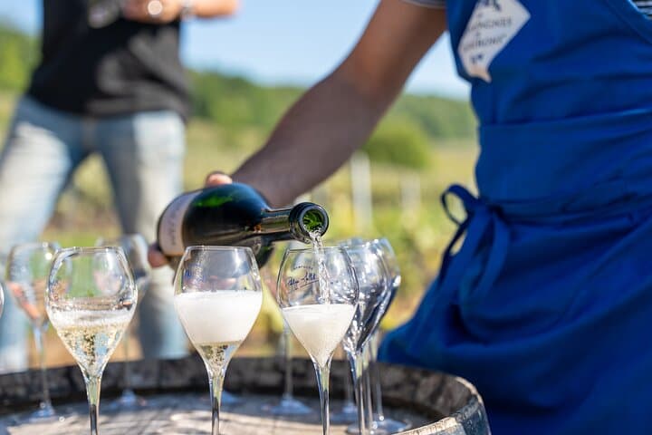 Private Champagne Estate Tour and Vineyard Tasting in Trélou-sur-Marne photo 6