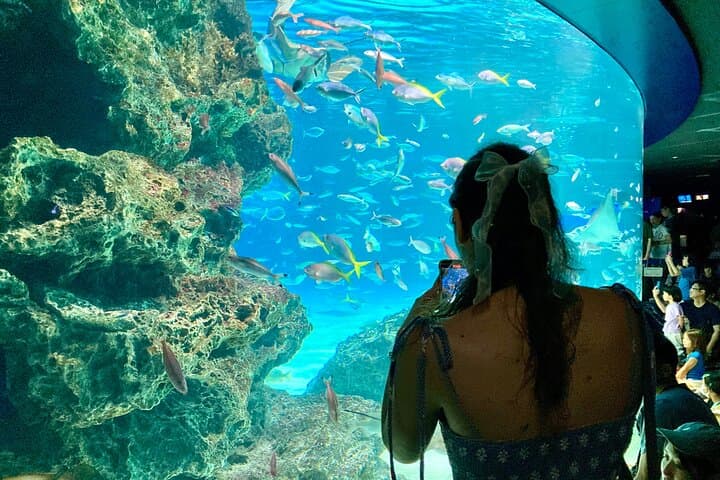 Behind the Tanks: Sunshine Aquarium Backyard Tour and Sunshine60 Observatory in Ikebukuro photo 3
