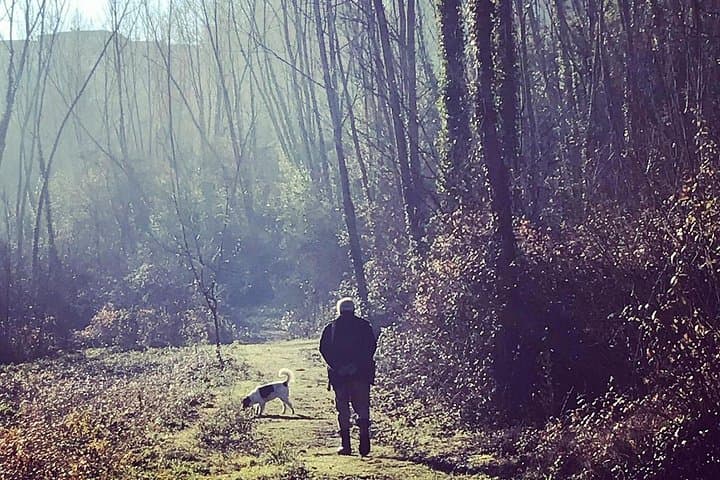 Truffle Hunting Day Trip from Livorno: San Miniato Dogs, Lunch & Optional Pisa or Certaldo