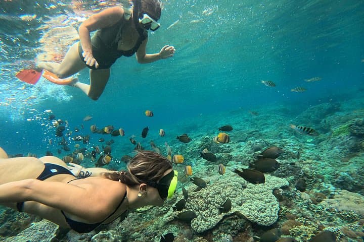 Snorkel with Manta Rays — Lembongan Manta Bay, Crystal Bay & Mangrove Point photo 4