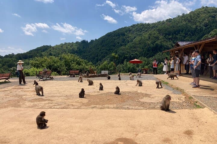 Arashiyama & West Kyoto Walking Tour: Bamboo Forest, Monkey Park, Matcha & Calligraphy photo 4