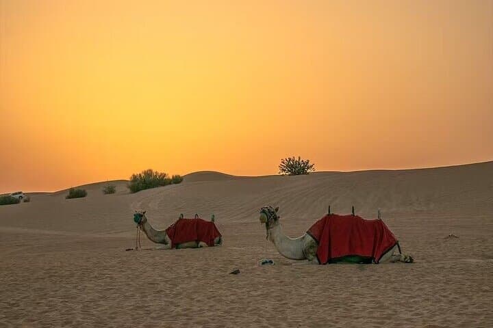 Budget-Friendly Evening Desert Safari Dubai: BBQ, Dune Bashing & Cultural Shows photo 2