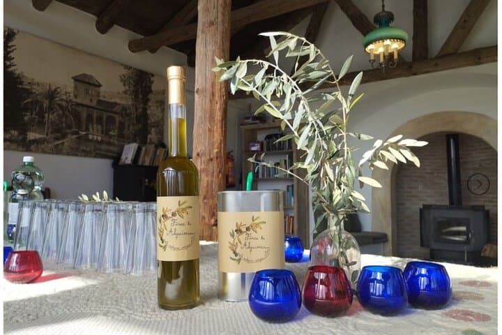 Half-Day Olive Oil Experience in Valle del Lecrín — Private Tour from Granada