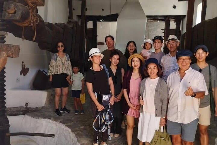 Half-Day Olive Oil Experience in Valle del Lecrín — Private Tour from Granada photo 3