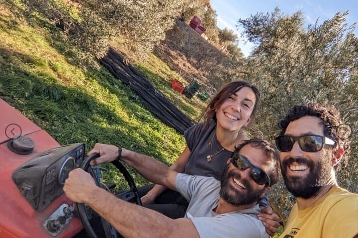 Half-Day Olive Oil Experience in Valle del Lecrín — Private Tour from Granada photo 5