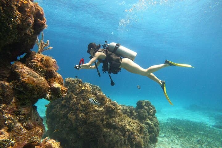 Intro Scuba Dive at Chankanaab Park, Cozumel: One‑Tank Beginner Dive photo 4
