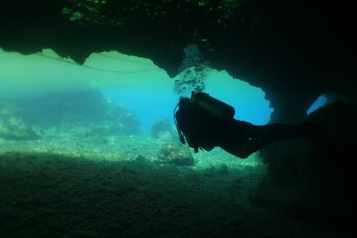 Intro Scuba Dive at Chankanaab Park, Cozumel: One‑Tank Beginner Dive photo 5