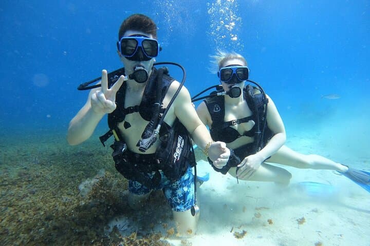 Intro Scuba Dive at Chankanaab Park, Cozumel: One‑Tank Beginner Dive photo 6