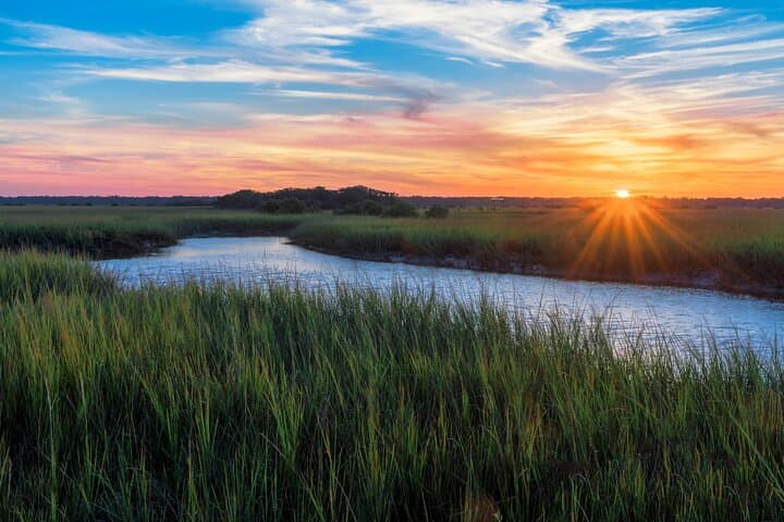 Palmetto Bluff May River Kayak Tour — 2-Hour Guided Salt Marsh Paddle photo 6