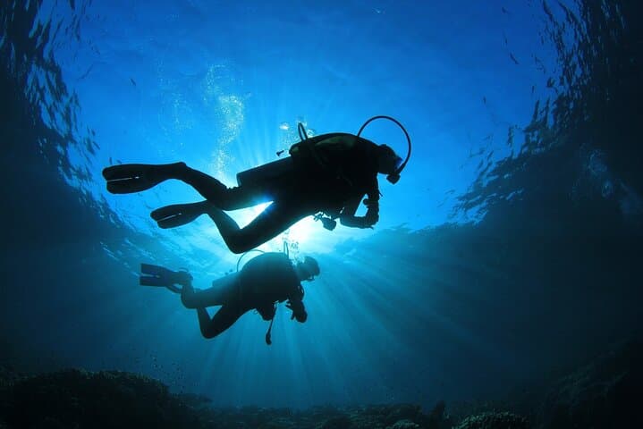 Tahiti Double Dive: Explore Reefs, Turtles & Rays on a Certified Dive Adventure photo 2