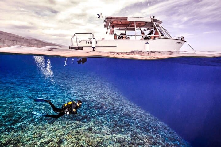Tahiti Double Dive: Explore Reefs, Turtles & Rays on a Certified Dive Adventure