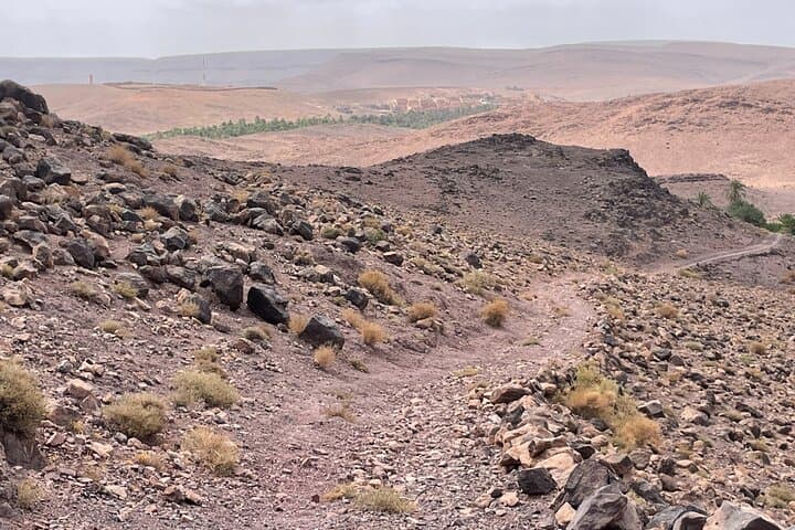 Quad Adventure from Kasbah Ait Benhadou to Ouarzazate Studios photo 3