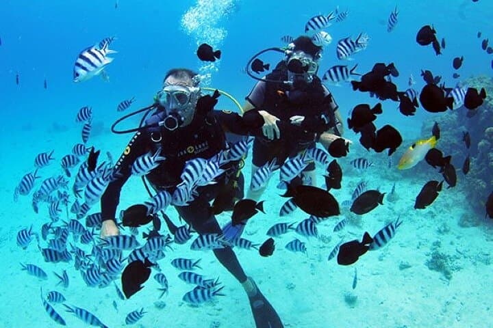 Tahiti Scuba Baptism: Beginner Diving in Turquoise Waters