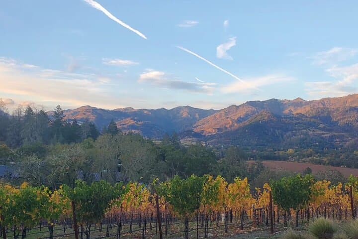 Private Napa and Sonoma Wine Country Transportation: Plan Your Custom Wine-Region Day photo 1