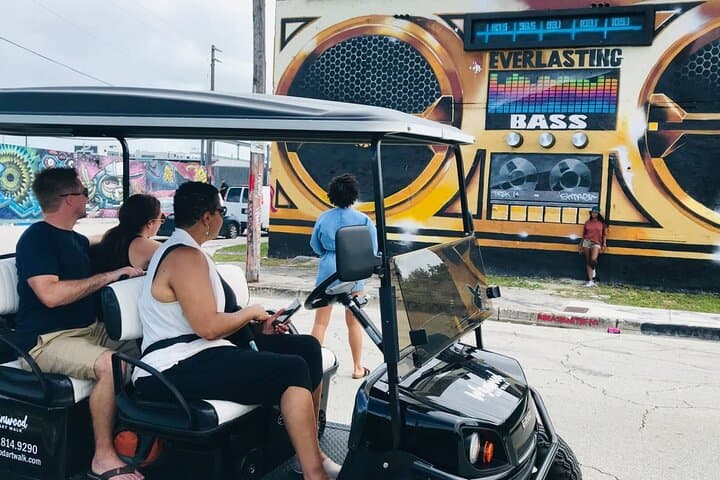 Wynwood Graffiti Golf Cart Tour: Explore Miami’s Bold Street Art in One Hour photo 6