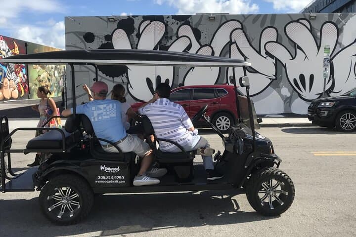 Wynwood Graffiti Golf Cart Tour: Explore Miami’s Bold Street Art in One Hour photo 4
