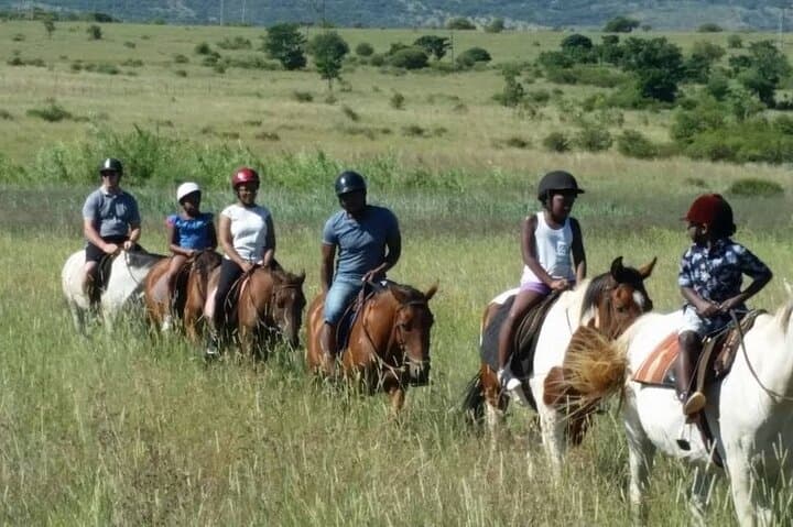 Horseback and Quad Biking in Hartebees: Bushveld Rides Near Pretoria photo 2