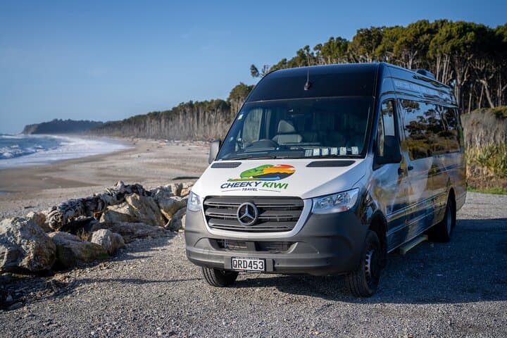 Franz Josef to Queenstown via Wanaka: Haast Pass Small-Group Scenic Tour photo 2