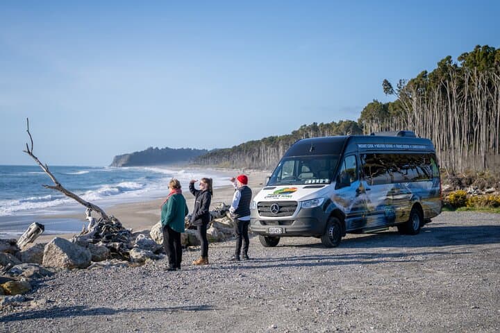 Franz Josef to Queenstown via Wanaka: Haast Pass Small-Group Scenic Tour