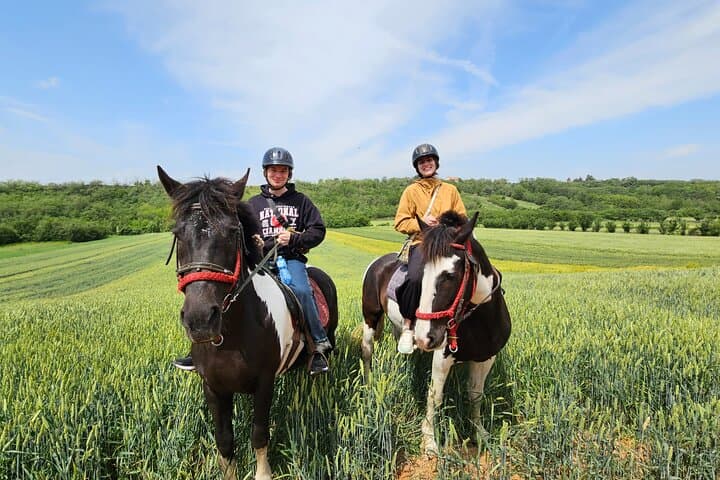 Horseback Riding & Hiking on Fruška Gora: Day Trip from Belgrade photo 3