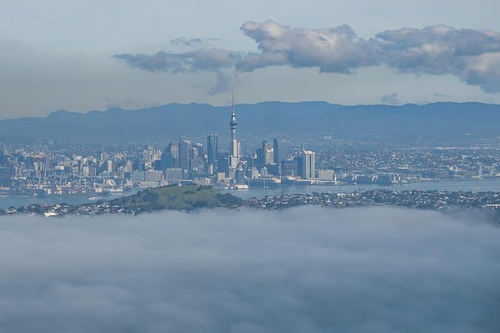 Auckland to Rangitoto Island Ferry — Volcanic Summit Walk & Lava Caves photo 3
