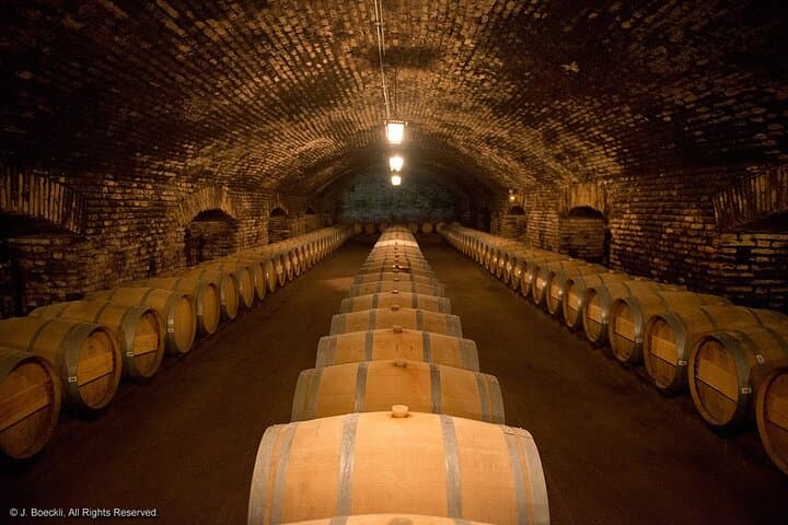 Cajón del Maipo Wine and Mountain Day Trip from Santiago photo 4
