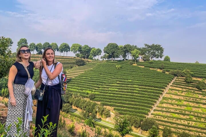 Chengdu to Leshan: Panda Base Morning and Giant Buddha Day Tour photo 3