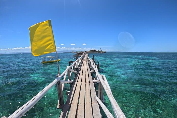Cebu Island Hopping: Snorkel Hilutungan, Relax on Nalusuan & Caohagan with BBQ Lunch photo 2
