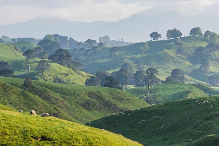 Hobbiton Movie Set Small Tour from Auckland: Full-Day Middle-earth Experience photo 3