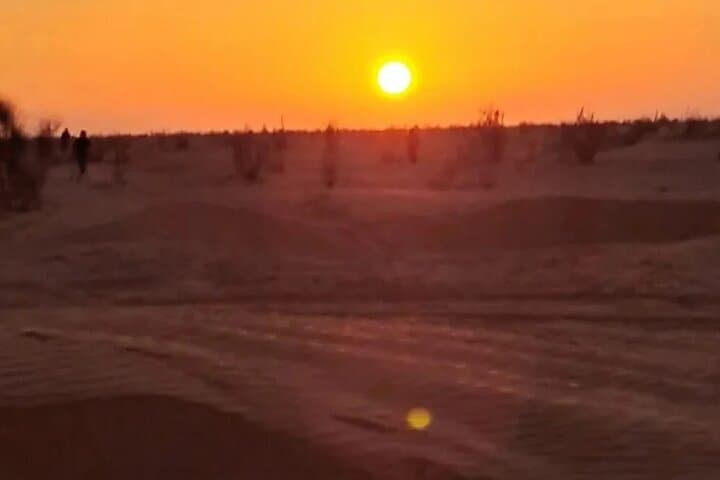 Ksar Ghilane 2-Day Private Sahara Oasis Tour from Djerba