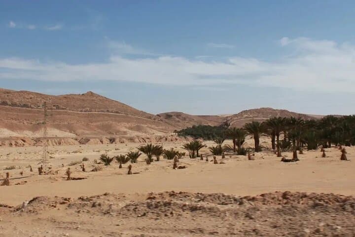 Ksar Ghilane 2-Day Private Sahara Oasis Tour from Djerba photo 2