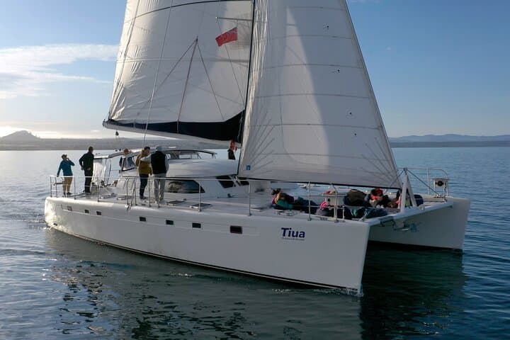 Luxury Sail to the Māori Rock Carvings on Lake Taupo