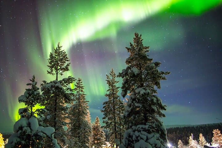 Northern Lights Snowshoe Hike in Rovaniemi: Arctic Aurora Adventure photo 2
