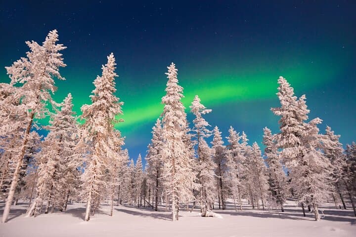 Northern Lights Snowshoe Hike in Rovaniemi: Arctic Aurora Adventure photo 3